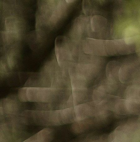 couple in the park holding hands