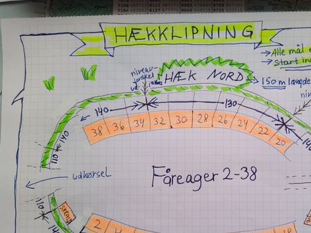 Tegning over hækkeklipning