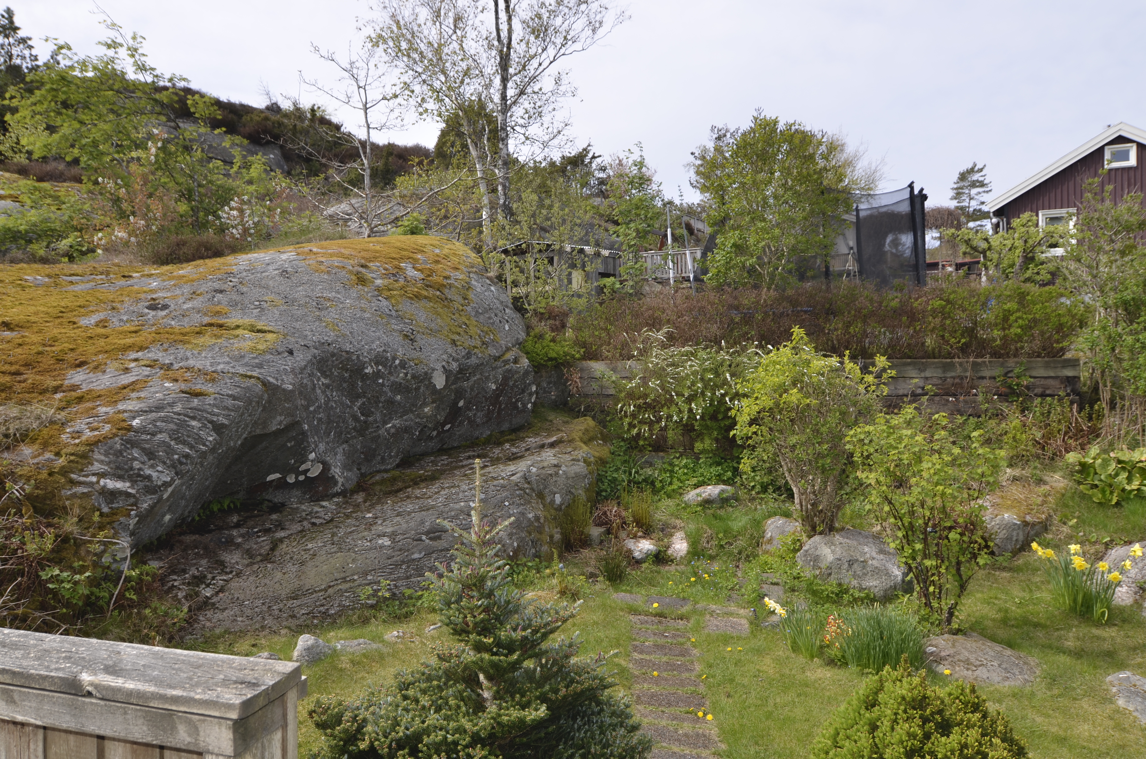 _DSC3694 Trädgård sydväst