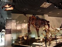 There were Giants in the earth in those days