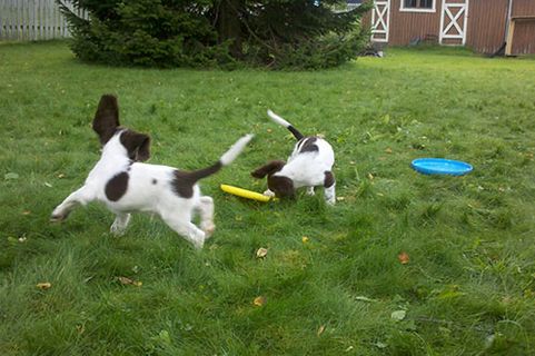 2012-08-30_17-29-07_7