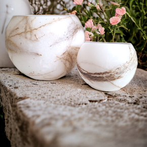 Photoroom-20240520_231535_8