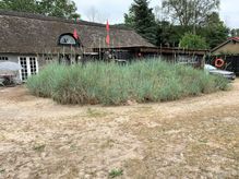 Strandhytten m. stalden i baggrunden.