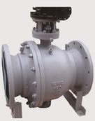 Ball Valve Side Entry