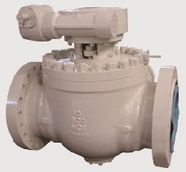 Ball Valve Top Entry
