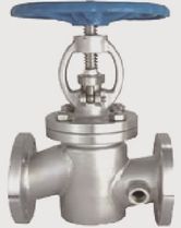 Globe Valve Jacketed