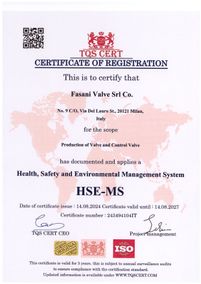 HSE-MS 3