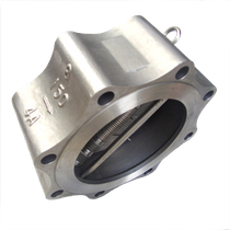 Lug Check valve
