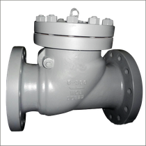 Swing Check valve