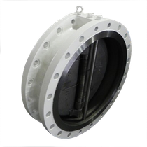 Wafer type Check valve