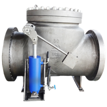 With cylinder Check valve