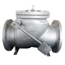 With weight Check valve