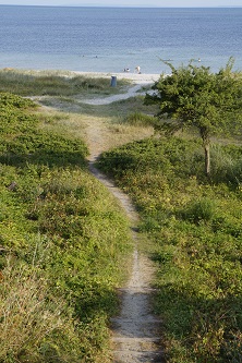 _DSC0819