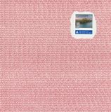 Aphasie-Post