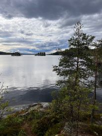 IMG_4352