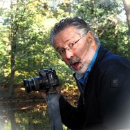 Michael Swanenberg