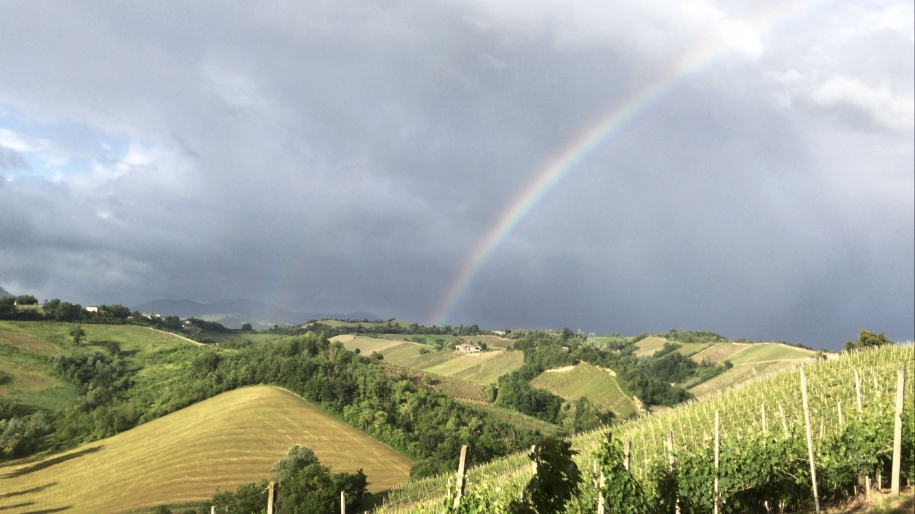 vigne arcobaleno