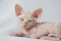 DSC05216