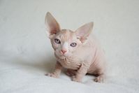 DSC05999