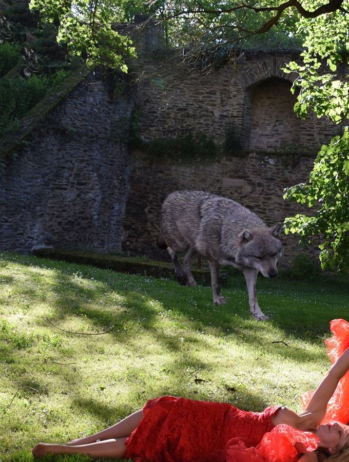 Loup. Je n’ai pas vu venir le loup. Il m’a protégée alors que j’étais perdue dans mes songes. J’ai retrouvé la paix intérieure depuis qu’il m’a adoptée.