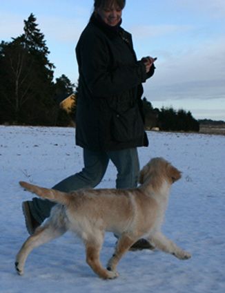 4 månader