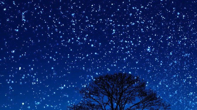 Des étoiles plein les yeux