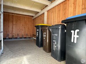 FH-Hornhecht_Aussen_Schuppen_Innen_Süd