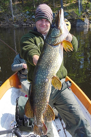 Schöner 103 cm Hecht