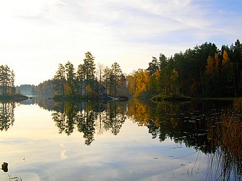 Inseln im See Hummeln