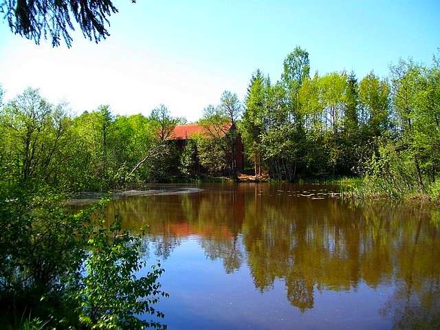 Die Staustufe des Fluss Silverån 300 m vom Ferienhaus