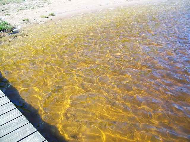 . . . Badebrücke und kristalklarem Wasser ist ideal für Kinder