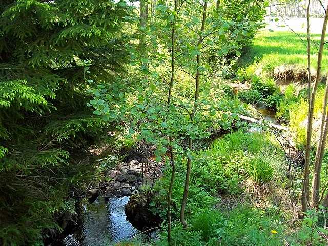 . . . findet man hier ebenso