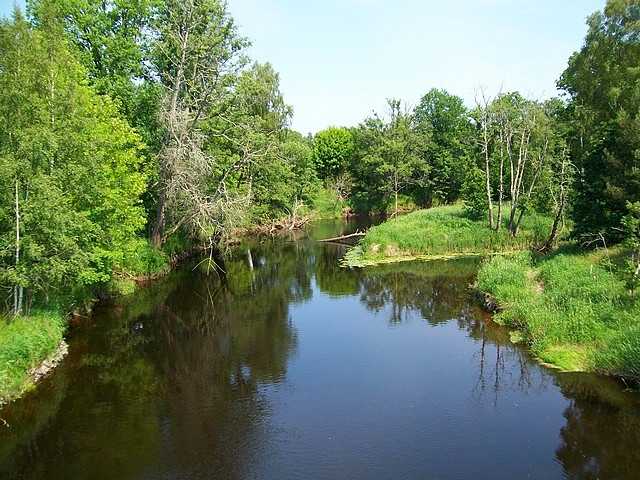 . . . und die Einmündung des Silveråns bei Rosenfors