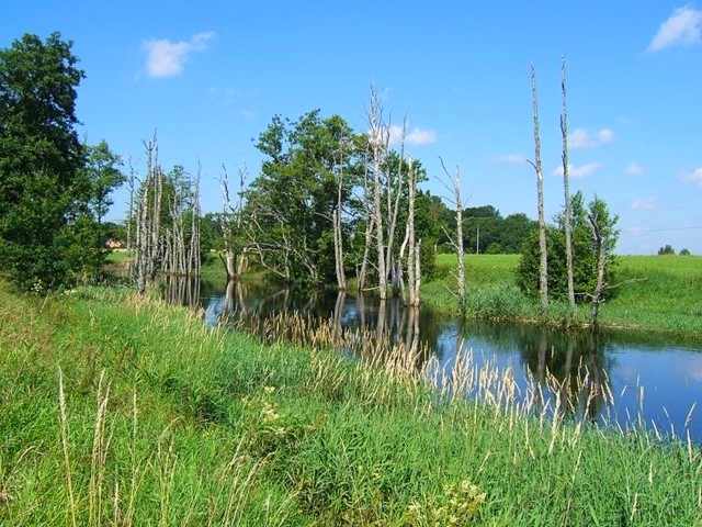 Der Fluss Gårdvedaån