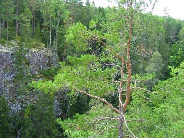 . . . in der Nähe von Mörlunda