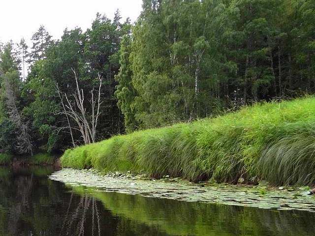 Eine schöne Kautour auf dem Emån . . .