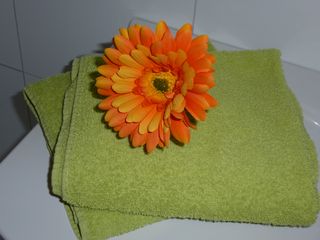 P1010391