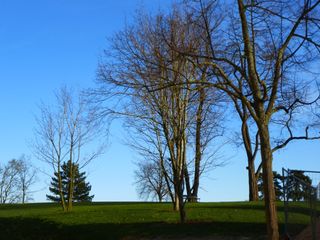 P1010405