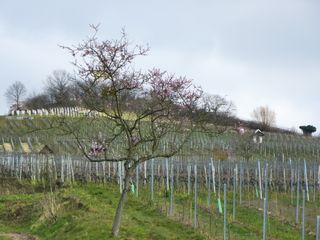 P1010451