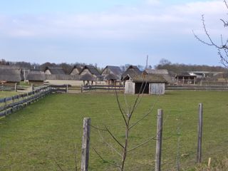 P1010460