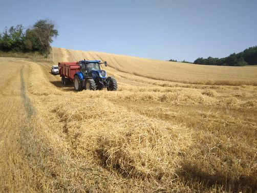 Récolte orge 2022