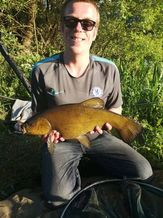 tench