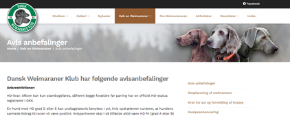 Avlsrestriktioner Weimaraner