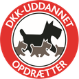 Dansk Kennel Klub