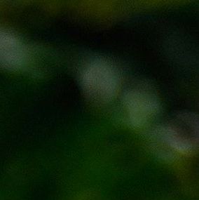 unsplash_SAHBl2UpXco