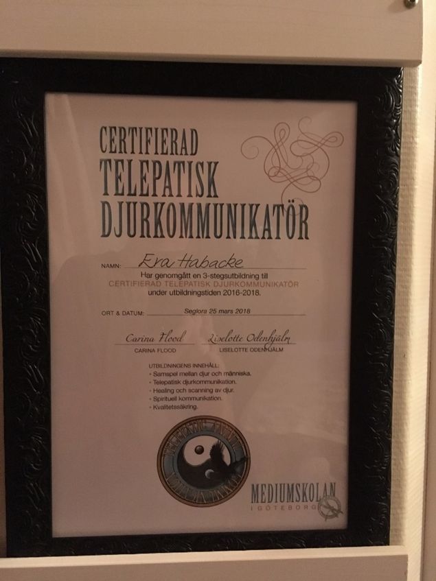 Jag jobbar en hel del med djurkommunikation och vissa djur har jag talat med fler gånger. Det är jag tacksam för, nöjda kunder. Nu har jag fått en häftig fråga: - om kan jag prata med hästen samtidigt som ägaren rider och genomför ett problematiskt moment? Svar JA, det ska bli spännande! Det känns rätt med en utmaning nu. Emotser ägarens ridtur.
Annars har jag haft en massage på förmiddagen och trädgårdjobb på eftermiddagen. Och packat bilen med tvålkursgrejor. Det ska bli så kul att lära ut den enkla konsten. Tjohooo!