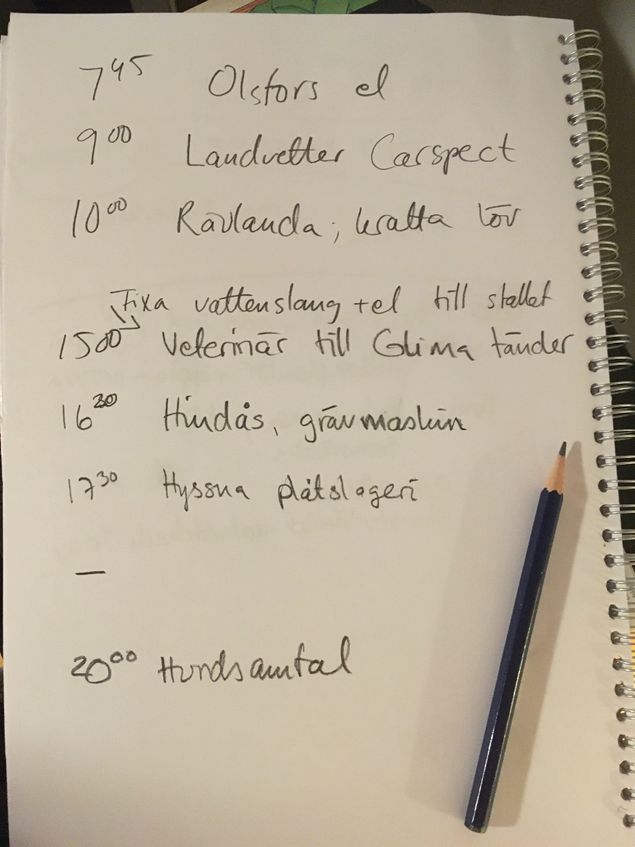 Såhär kan en dag se ut.😃