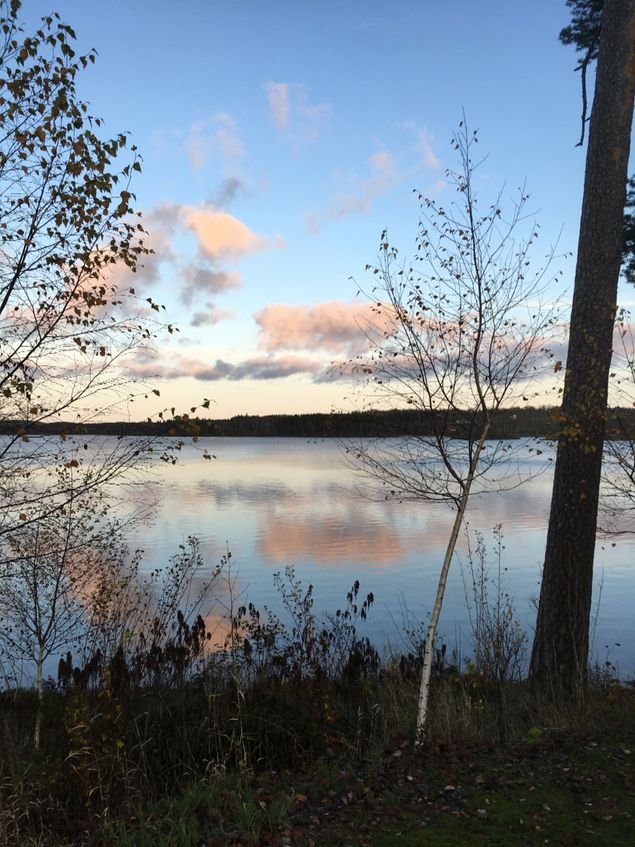 Jag kan erkänna att denna veckan har det gått lite för fort. I går hann jag inte blogga alls. Förutom  att ha masserat, talat med några djur och jobbat i trädgård har det varit fullt upp med bilarna. I tisdags besiktigade jag vår gröna volvo 245a och idag var det firmabilen tur, också det en volvo 245a såklart! Och båda fick 2or. På samma fel!!! För högt ställd höger strålkastare. 🤣 Undra om det smittar de andra bilarna? Båda bilarna hade fantastiska 0 % och 5% differens på bromsverkan där det får vara som mest 30%. Lite stolt, jag motionerar bromsarna och sprutar in olja i damaskerna emellanåt så de ska glida fint och det var ju lönsamt 👍🚗 Så idag när jag jobbade i trädgård och bl.a. flyttade stora blåbärsplantor kunde jag vila i denna vackra vy några minuter. Hjärnan fick vila och bilden har jag med mig. Så rofyllt och vackert - precis vad jag behövde. Tack! 🙏