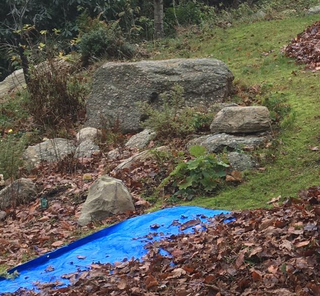 Har krattat jättemycket och det känns så skönt! 🍁🍂🍃🍁 Bååde i armarna och att se gräset igen. Håller på att göra en installation i kundens trädgård och behöver varenda löv. Ett käckt sätt är att kratta dem på en presenning och dra iväg. Mycket tidseffektivt 👍