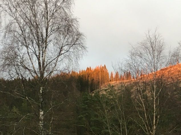 I går skulle jag lagt ut denna bilden som avspeglar hela dagen. I stugan råder lugn och vackra energier. Bara att komma innanför dörrarna gör att man blir avslappnad och därpå avspänningsmassage gör att kunden blir riktigt avslappnad. Jag masserar med lugna drag och följer kroppens energibanor. Öppnar chakraportarna och fyller på med energi från vår allas Universum. Ibland får jag besök från andra sidan när jag masserar, antingen till kunden eller så får jag  hjälp med all lägga händerna på vissa behövda ställen på kroppen. Varje massagetillfälle är unikt! 💕 Jag är så tacksam att kunna få hjälpa! 🙏